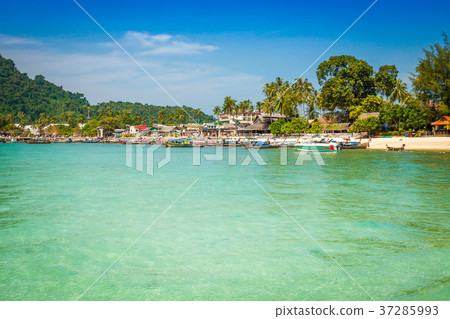 Phi phi island in andaman sea, Phuket, Krabi 37285993