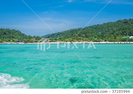 Phi phi island in andaman sea, Phuket, Krabi Phi phi island in andaman sea, Phuket, Krabi 37285994