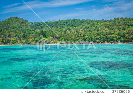 Phi phi island in andaman sea, Phuket, Krabi,  37286036