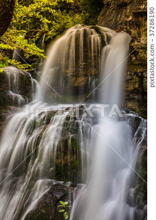 Cascada de la Cueva waterfall in Ordesa  37286190