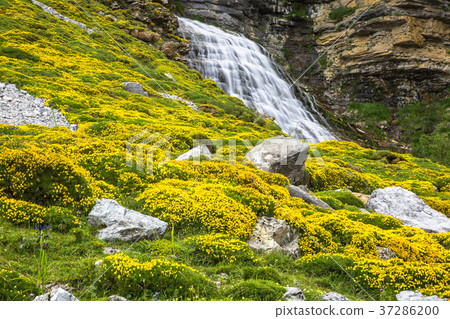 Cascada Cola de Caballo waterfall  37286200