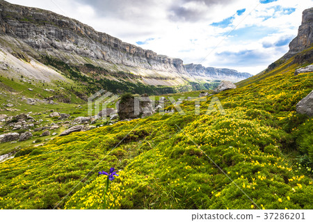 Ordesa valley in pyrenees, Huesca. Spain. 37286201