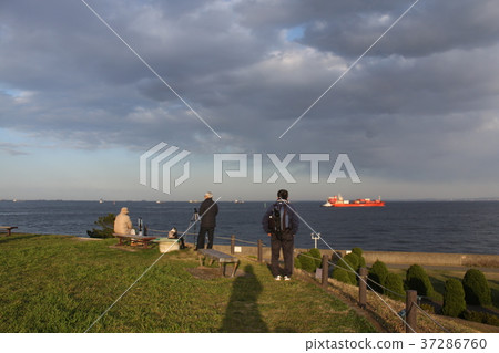 從橫濱口岸標誌塔綠色空間公園的看法 從橫濱口岸標誌塔綠色空間公園的看法 37286760