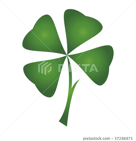 Isolated traditional clover Isolated traditional clover 37286871