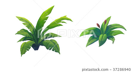 shrub for cartoon isolated on white background 37286940