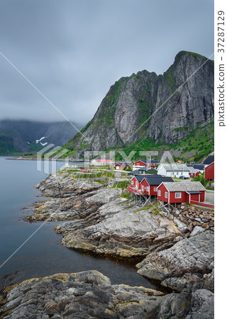 Traditional red rorbu cottages in Hamnoy village Traditional red rorbu cottages in Hamnoy village 37287129