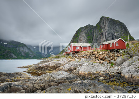 Traditional red rorbu cottages in Hamnoy village 37287130