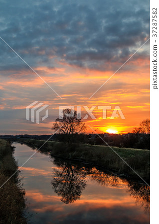 埼玉縣Minuma米領域美好的早晨煥發風景 37287582