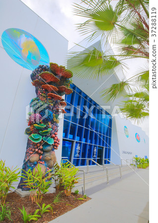 凱恩斯水族館入口 37288119