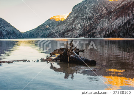 winter koenigssee bayern alps 37288160