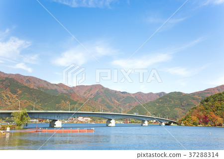 Lake Kawaguchiko Autumn leaves 37288314