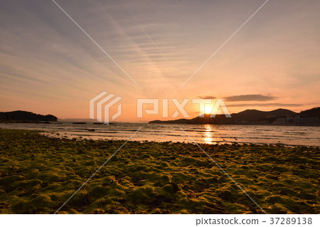 從小豆島天使路看的日落 從小豆島天使路看的日落 37289138
