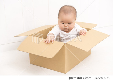 Baby playing in a box 37289250