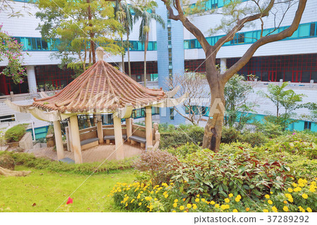 a garden at City University of Hong Kong a garden at City University of Hong Kong 37289292
