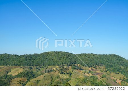 Nature view mountain, forest and blue sky Nature view mountain, forest and blue sky 37289922