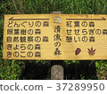 熊本晴天森林的信息委員會 37289950