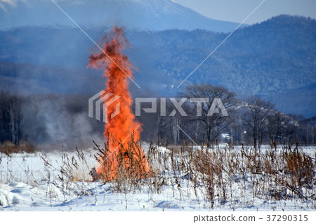 Fire pillar 37290315