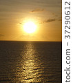 在海上日落 37290612