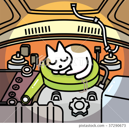 Cat bang bang 37290673