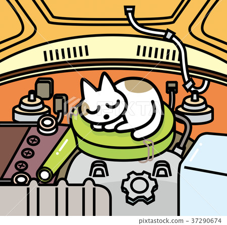 Cat bang bang 37290674