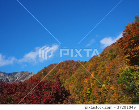 一座變紅的山 一座變紅的山 37291049