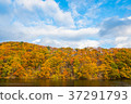 Eldest lake 37291793