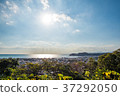 Gion mountain hiking course Kamakura 37292050