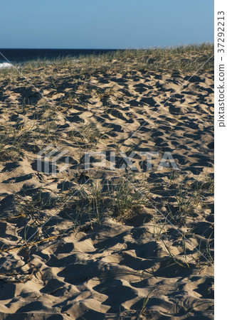 Sunshine beach at Noosa, Sunshine Coast 37292213