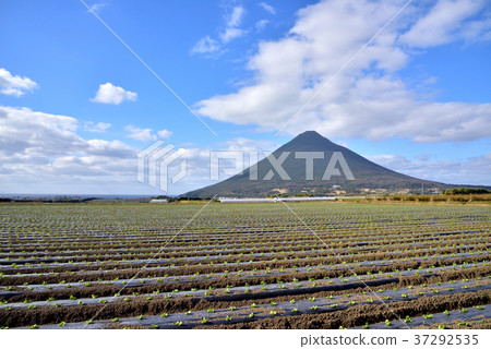 Kaimondake mountain range scenery Southern country scenery Ibusuki City, Kagoshima Prefecture 37292535
