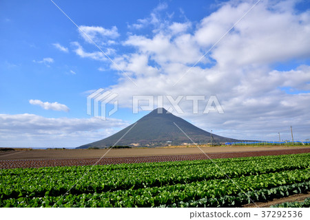 Kaimondake mountain range scenery Southern country scenery Ibusuki City, Kagoshima Prefecture 37292536