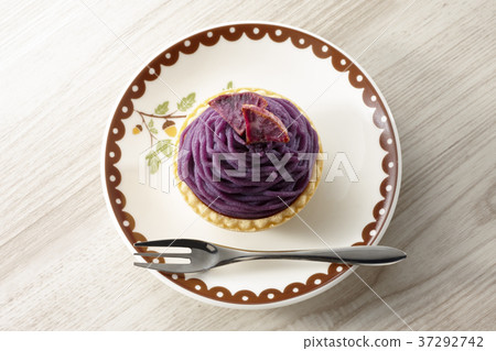 紫玫瑰萬寶龍（櫻島紫） 37292742