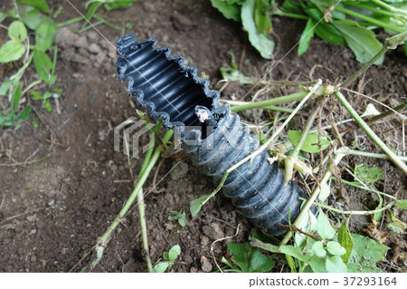 Solar power plant cable cut Solar power plant cable cut 37293164