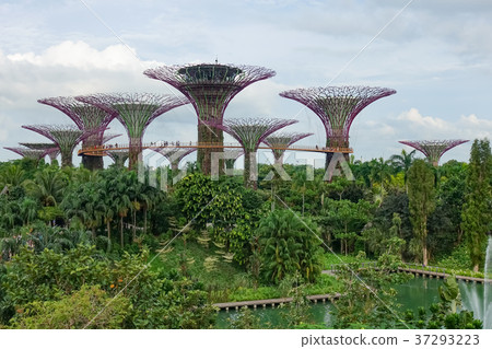 新加坡天空樹 37293223