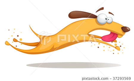 Funnu, cute, crazy yellow dog. Funnu, cute, crazy yellow dog. 37293569