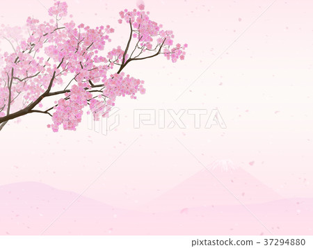 櫻花富士 37294880