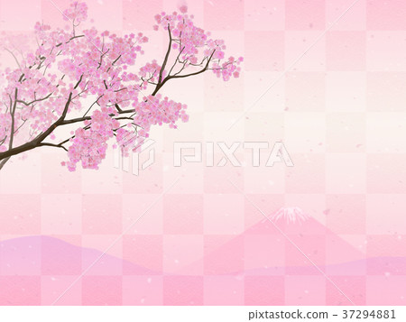 櫻花檢查 37294881