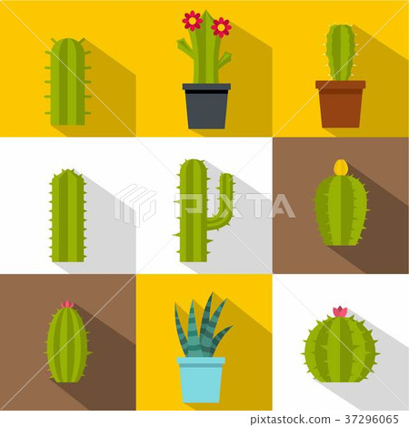 Types of cactus icon set, flat style Types of cactus icon set, flat style 37296065