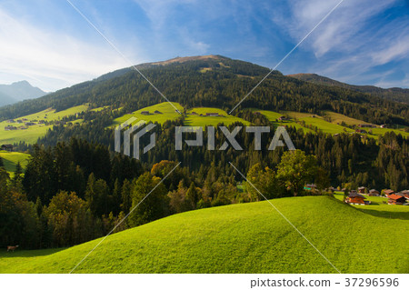 The alpine village of Alpbach and the Alpbachtal The alpine village of Alpbach and the Alpbachtal 37296596