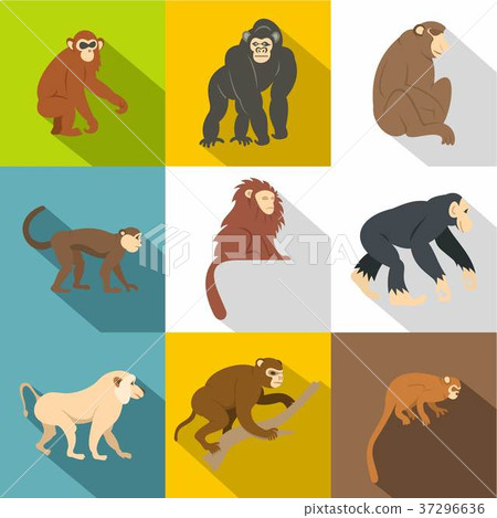 Different monkey icon set, flat style 37296636