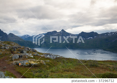 View from the Segla mountain, Norway 37296712