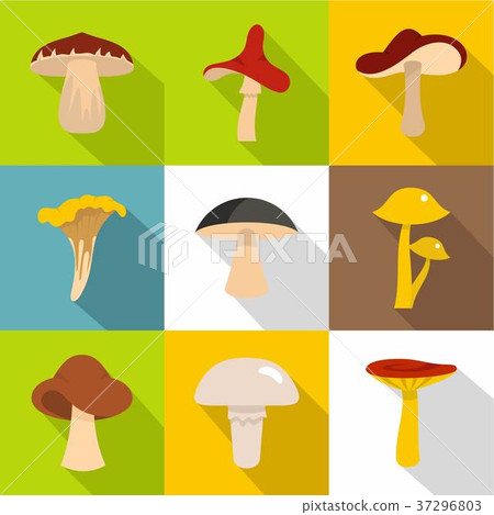 Edible mushrooms icon set, flat style 37296803