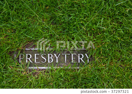 Presbytery - a mark in grass indicating ruins Presbytery - a mark in grass indicating ruins 37297321