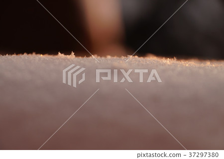 Photo background, macro snow in sunset light Photo background, macro snow in sunset light 37297380