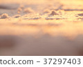 Photo background, macro snow in sunset light 37297403