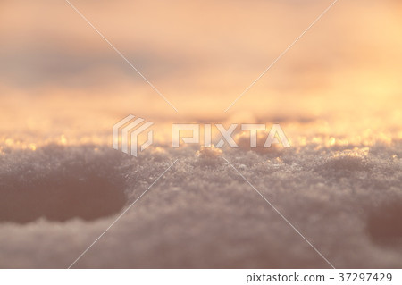 Photo background, macro snow in sunset light Photo background, macro snow in sunset light 37297429