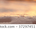 Photo background, macro snow in sunset light 37297451