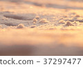 Photo background, macro snow in sunset light 37297477