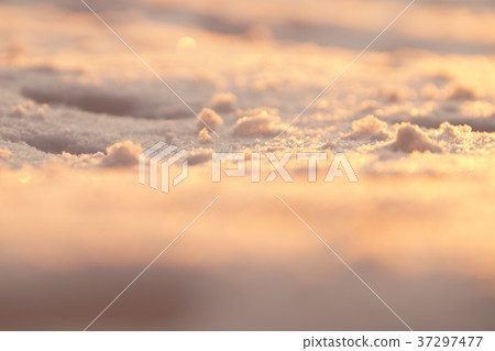 Photo background, macro snow in sunset light Photo background, macro snow in sunset light 37297477