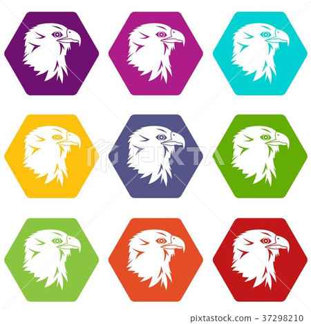 Eagle icon set color hexahedron 37298210