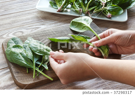 woman hands holding spinach at home. woman hands holding spinach at home. 37298317